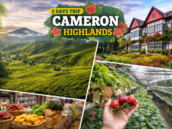 Cameron Highlands