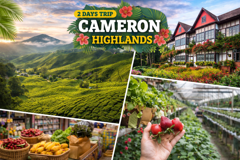 2 Days trip Cameron Highlands