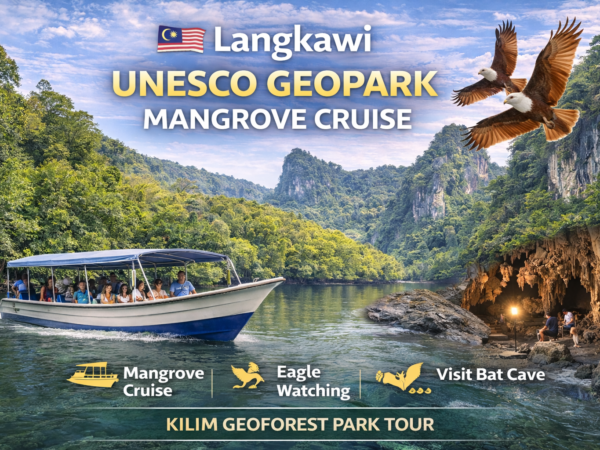 Langkawi Island Mangrove Cruise + UNESCO Geopark Kilim Tour | Malaysia Tours